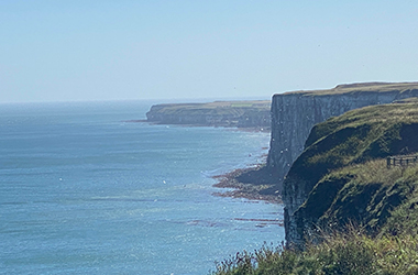 Bempton Cliffs