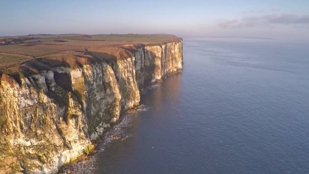 Bempton Cliffs Bridlington